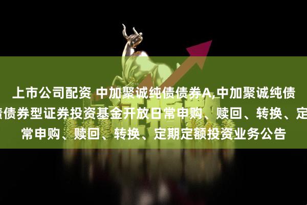 上市公司配资 中加聚诚纯债债券A,中加聚诚纯债债券C: 中加聚诚纯债债券型证券投资基金开放日常申购、赎回、转换、定期定额投资业务公告