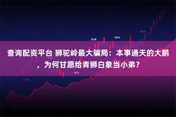 查询配资平台 狮驼岭最大骗局：本事通天的大鹏，为何甘愿给青狮白象当小弟？